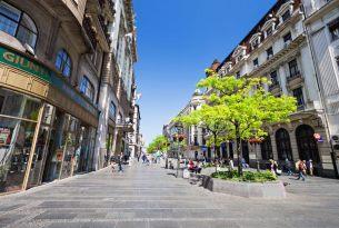 knez-xs
